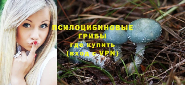 индика Наволоки